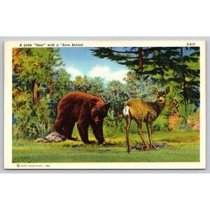 Postcard Deer and Bear A Little Dear with a Bare Behind Linen c1940s Unposted